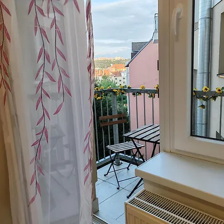 Star #4c415 By Starbnb Eu *